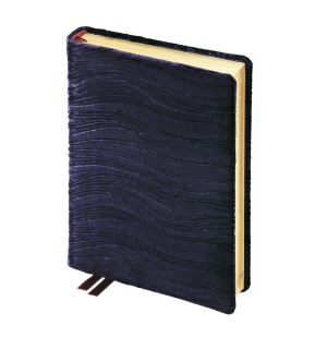 Bruno Visconti Ежедневник А6+ Louvre