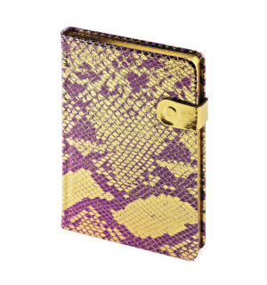 Bruno Visconti Ежедневник А6+ Fusion