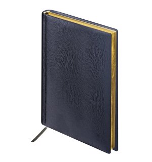 BRAUBERG Iguana Ежедневник недатированный А6