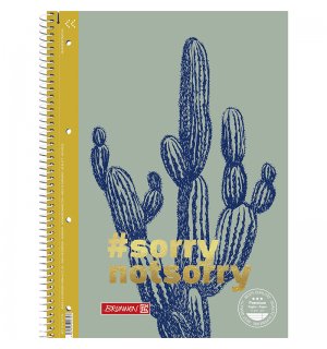 Тетрадь Brunnen Гармония А4