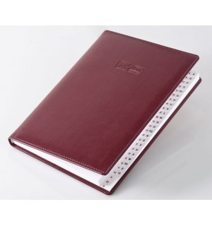 Brunnen Телефонная книга Софт, бордо А5