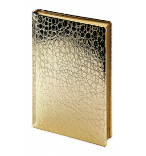 Bruno Visconti Ежедневник А5+ Millennium