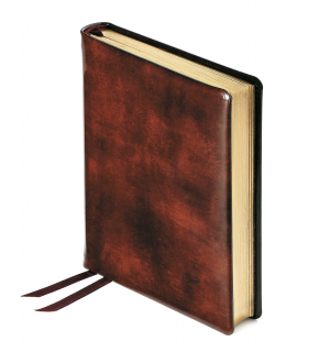 Bruno Visconti Ежедневник А6+ Premier