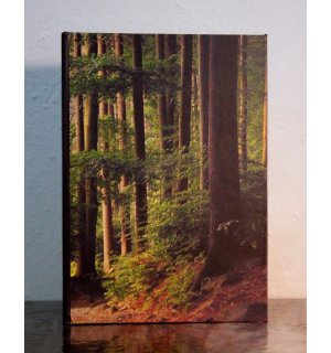 Kraftbook Скетчбук Лес А5