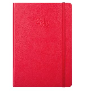 Infolio Euro business I014/red