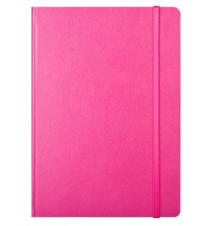 Infolio Euro business I013/fuchsia