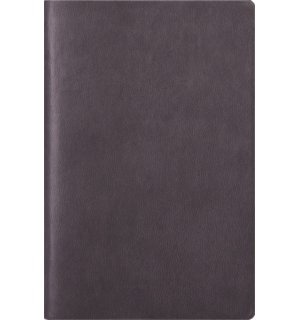 Infolio Saturn I038/grey