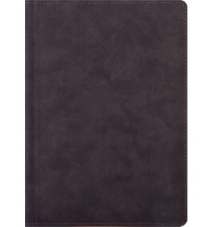 Infolio Softstyle I050/gray