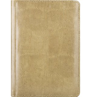 Infolio Solo I071/green