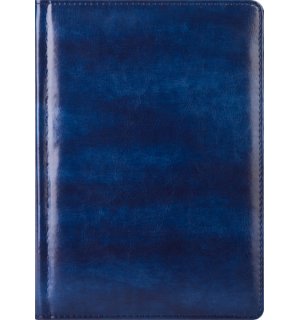 Infolio Voyage I054/blue