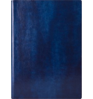 Infolio Voyage I023/blue