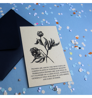 All Write Открытка почтовая Пионы, A6