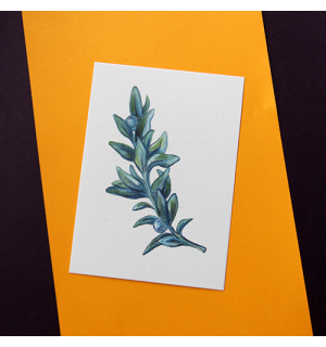 All Write Открытка почтовая Веточка, A6