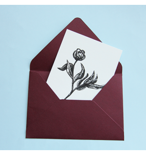 All Write Открытка почтовая Пион, A6