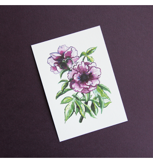 All Write Открытка почтовая Цветок, A6