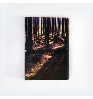 All Write Скетчбук Сосновый лес, A5