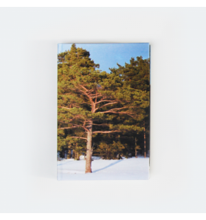 All Write Скетчбук Сосна, A5