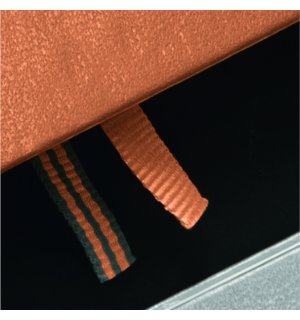 Leuchtturm1917 Medium Notebook Metallic Edition Gold