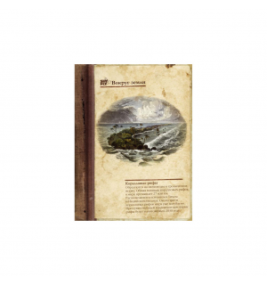 ShyFly Коралловые рифы mini