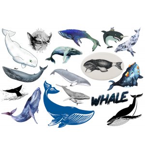Киты. Лист виниловых наклеек А4