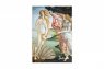 Manuscript Botticelli 1486 скетчбук с открытым переплетом А5