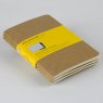 Записная книжка Moleskine Cahier (в клетку, 3 шт.), Pocket, бежевая