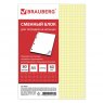 BRAUBERG Сменный блок к тетради на кольцах, А5, 80 л., Желтый 