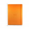 Rhodia Webnotebook Large (A4) c размерной линейкой
