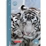 Тетрадь Brunnen Premium Fans of Earth - Tiger в линейку А4