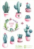 Succulents. Лист виниловых наклеек А5