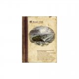 ShyFly Коралловые рифы mini