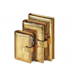 Bruno Visconti Ежедневник А5+ Millennium