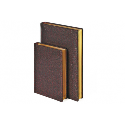 Bruno Visconti Ежедневник А5+ Disco