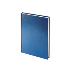 Bruno Visconti Ежедневник А5+ датированный Ideal new