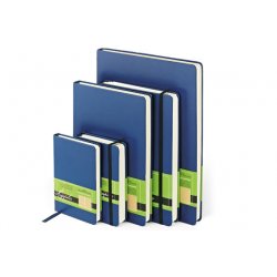 Bruno Visconti Ежедневник А5 Megapolis