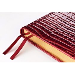 Bruno Visconti Manhattan, полудатированный ежедневник, А5+