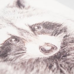 ЕжеWeeka Енот (записная книжка в клетку) A5