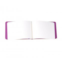 Olebook Эдвард Лир. Чудак из Девоншира