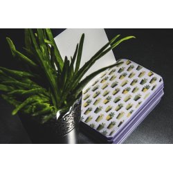 The Mun Hologram Note А6