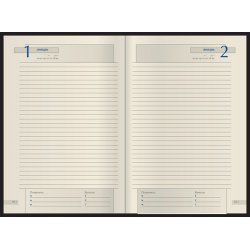 Bruno Visconti Light Blue, полудатированный ежедневник, А5+