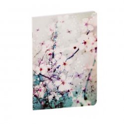 Clairfontaine Chacha by Iris Green A5