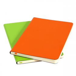 Bruno Visconti Twins Orange/Green A6 (x2)