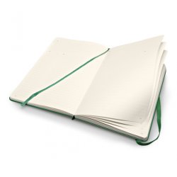 Записная книжка Moleskine Professional (в линейку), Large, зелёная Записная книжка Moleskine Professional (в линейку), Large, зелёная