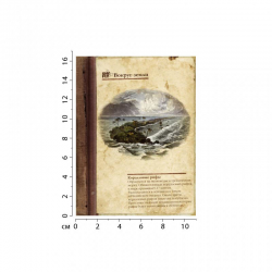 ShyFly Коралловые рифы mini